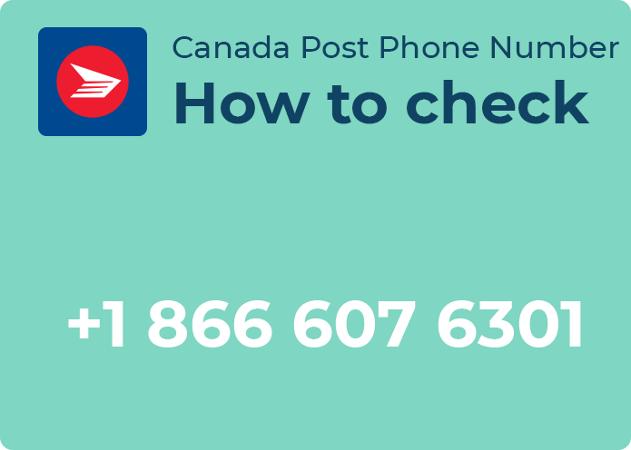 Are You Struggling With Reverse Phone Number Search In Canada?