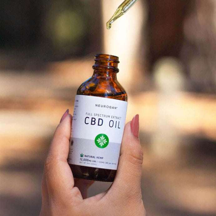 The Ultimate Guide to CBD Oil in Toronto: Everything You Need to Know