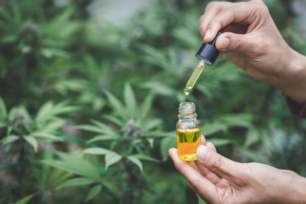 The Ultimate Guide to Buying Authentic Full Spectrum CBD Oil in Canada: A Comprehensive Review